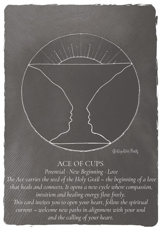 TAROT – THE THE DECK